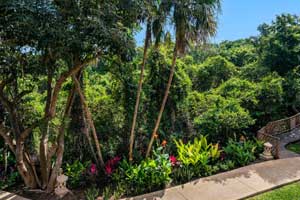 is located in the hotel garden, while you relax on your private balcony. Additionally, it is completely free of single-use plastics, so you can enjoy a sustainable vacation in Mexico with the best views of native vegetation.